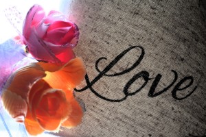love-flower-roses-faith-colorful